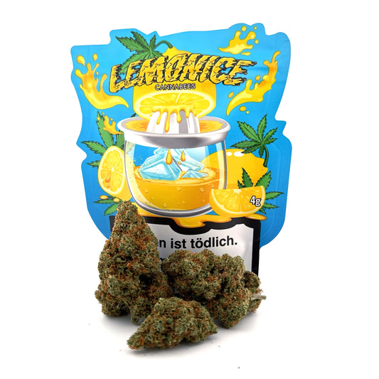 Cannabees CBD - Lemon Ice – 18% CBD Blüten, 18% CBD Schweiz