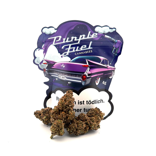 Cannabees CBD - Purple Fuel – 18% CBD Blüten, Aromablüten violett