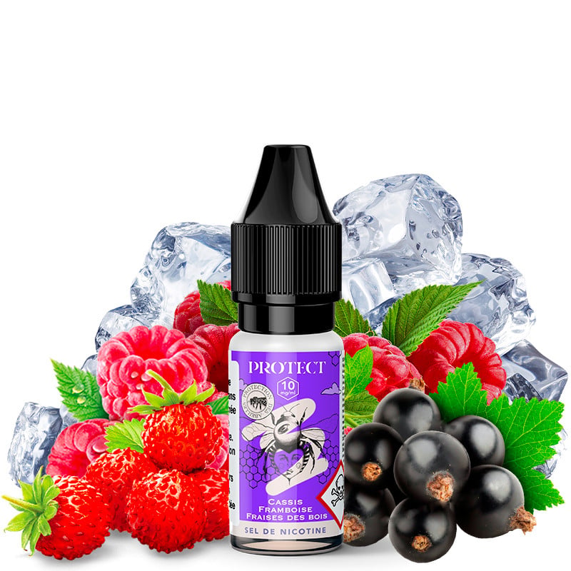Schwarze Johannisbeere Himbeere Walderdbeere – Protect E-Liquid 10 ml