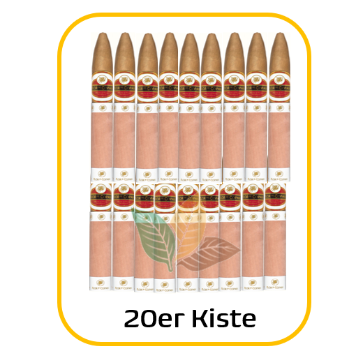 Flor de Copan - Belicoso Kiste