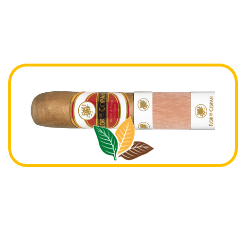 Flor de Copan - Short Robusto
