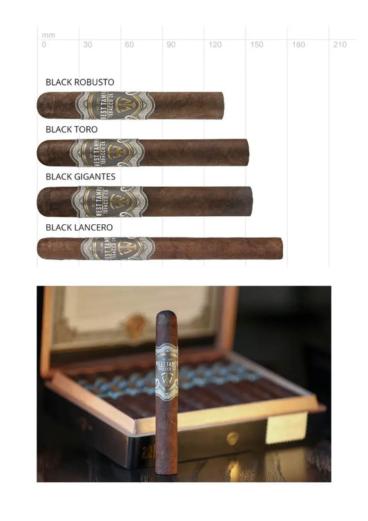 West Tampa Black 20er Kiste