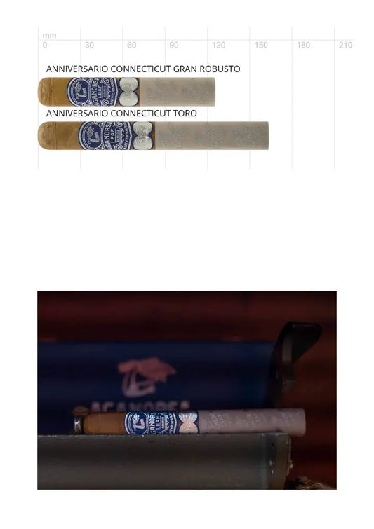 Aganorsa Leaf Anniversario Connecticut Gran Robusto – helles Ecuador-Deckblatt, Kiste mit 10 Zigarren