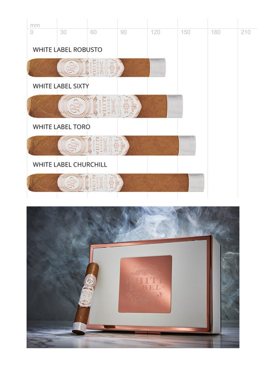 Rocky Patel White Label Sixty – Grossformat aus Nicaragua