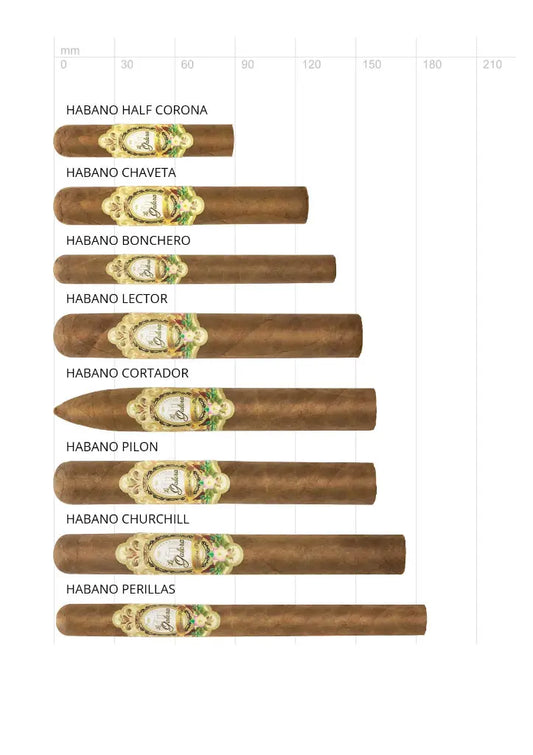 La Galera Habano 20er Kiste