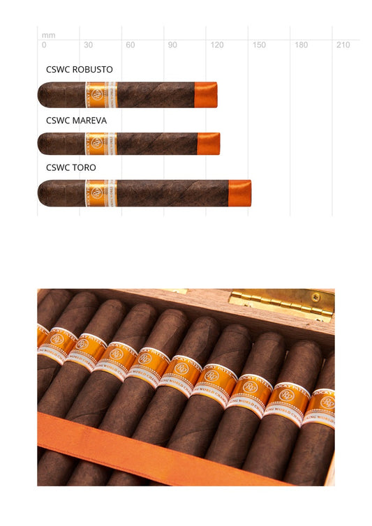 Rocky Patel CSWC Toro – Zigarre aus Nicaragua