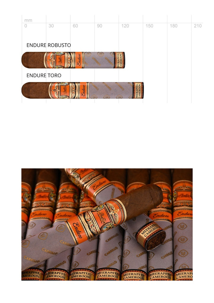E.P. Carrillo Endure Robusto – Zigarren der Endure Linie nebeneinander