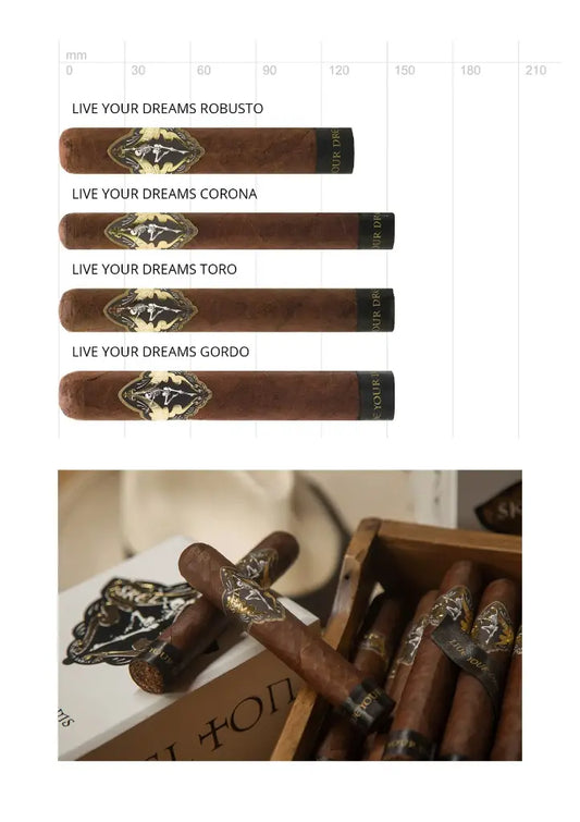 Skel Ton Live your Dreams Robusto – Zigarre aus Nicaragua