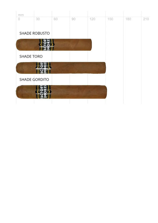 Factory Smokes Shade Robusto – mildes Bundle 54 x 127 mm aus Nicaragua
