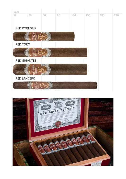 West Tampa Red 20er Kiste