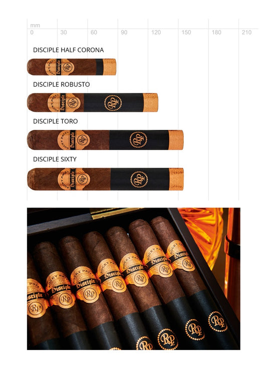 Rocky Patel Disciple Half Corona – Kurzformat aus Nicaragua