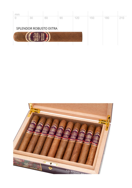Chateau Diadem Splendor Robusto Extra – Originalkiste aus hellem Holz