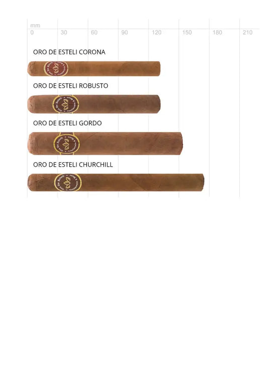 Oro de Esteli Bundle
