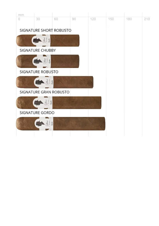 Gilbert de Montsalvat Signature Gran Robusto – 54 x 140 mm