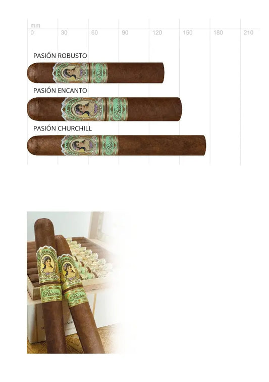 La Aroma del Caribe Pasión Churchill – Zigarre aus Nicaragua