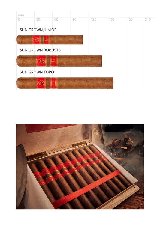 Rocky Patel Sun Grown Toro – Zigarre aus Honduras