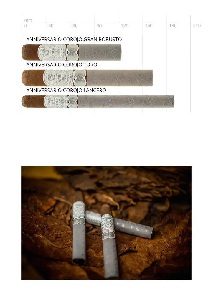 Aganorsa Leaf Anniversario Corojo Toro – nicaraguanischer Puro im Toro-Format 52 x 159 mm
