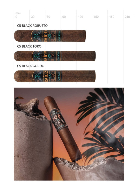 Raices C5 Black 21er Kiste