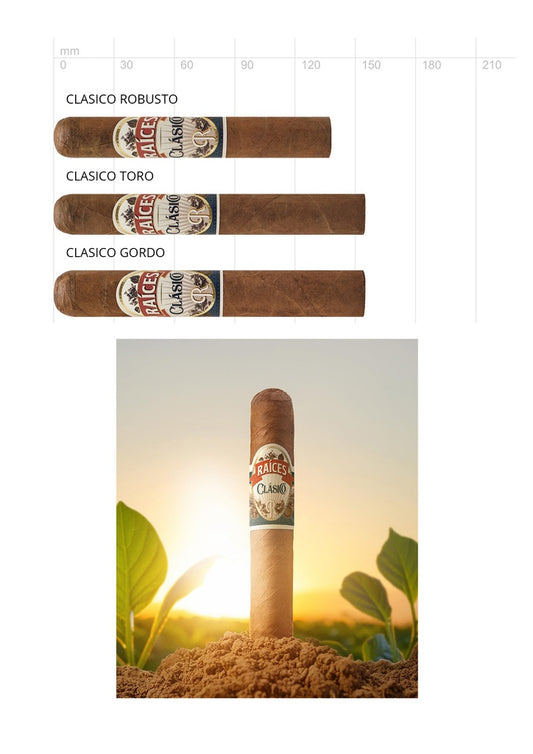 Raices Clasico 21er Kiste