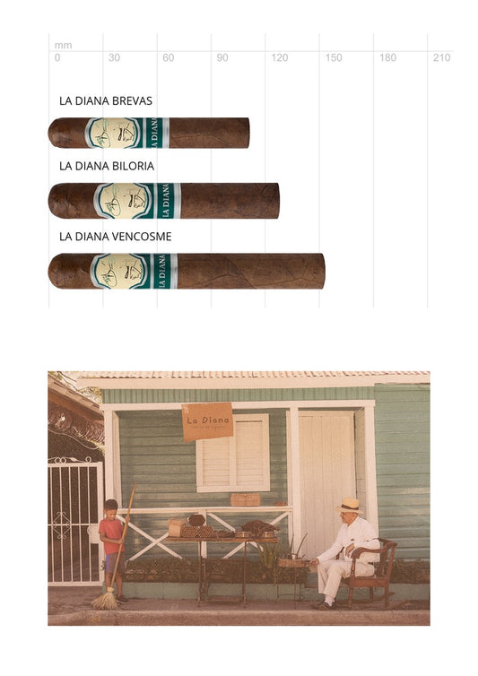 Eladio Diaz La Diana Biloria – Robusto 52 x 127 mm mit Ecuador-Deckblatt