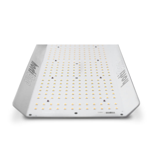 Hortione 420 150W LED – Growlight, Growshop
