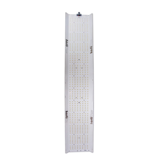 Hortione 600 220W LED – Growbox, Growing