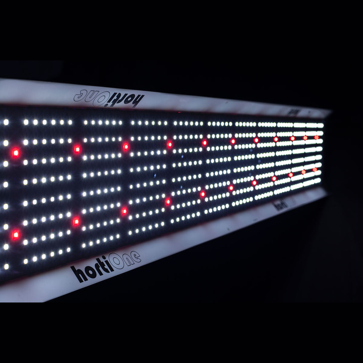 Hortione 600 220W LED – Growlight, Growshop