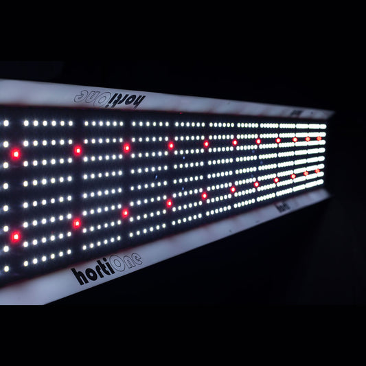 Hortione 600 220W LED – Growlight, Growshop