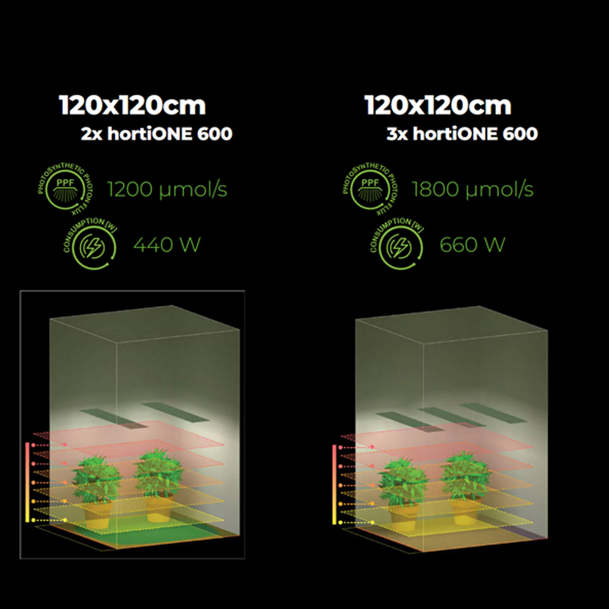 Hortione 600 220W LED – Growbox, Growing