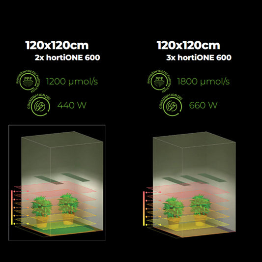 Hortione 600 220W LED – Growbox, Growing