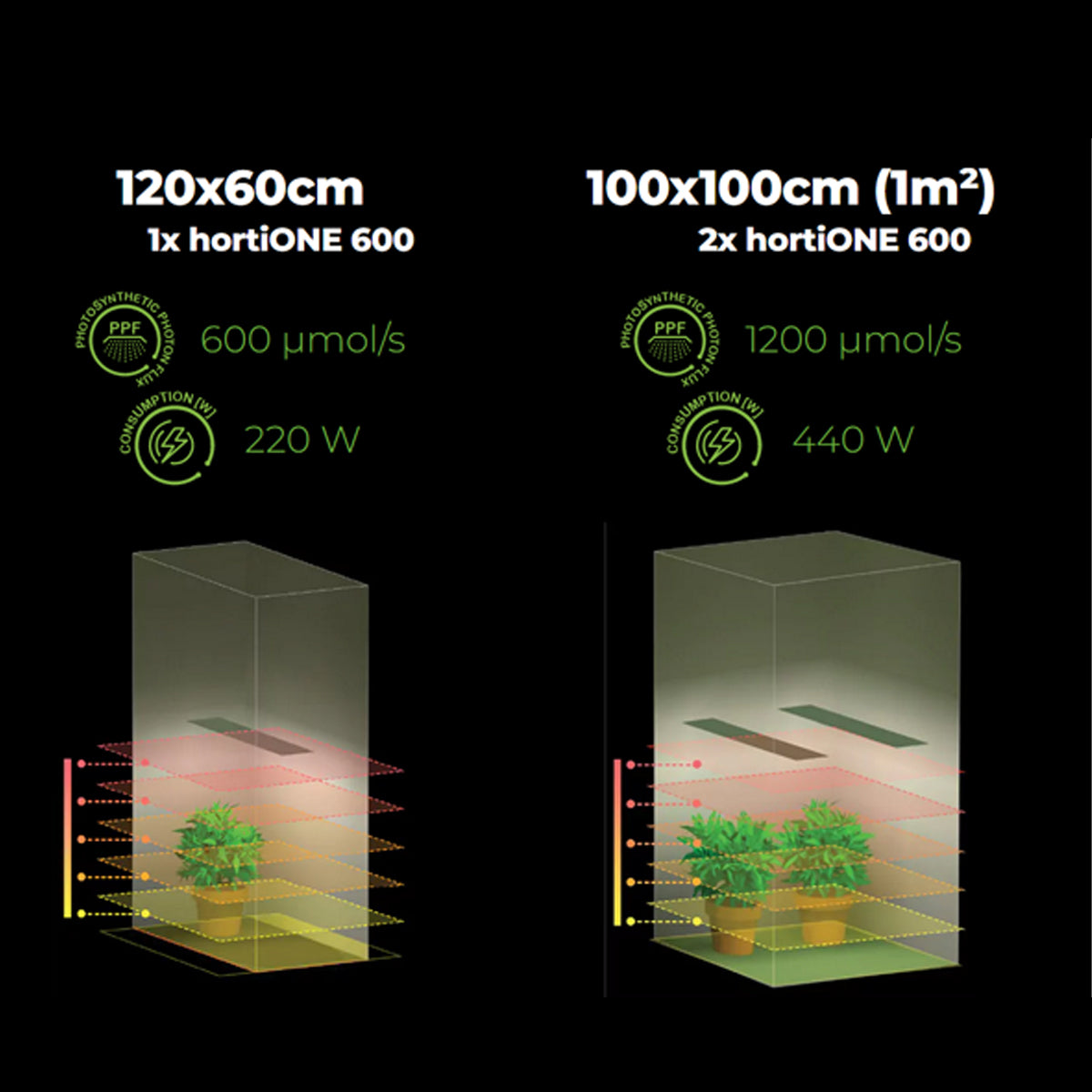 Hortione 600 220W LED – Grow, Grow Lampen