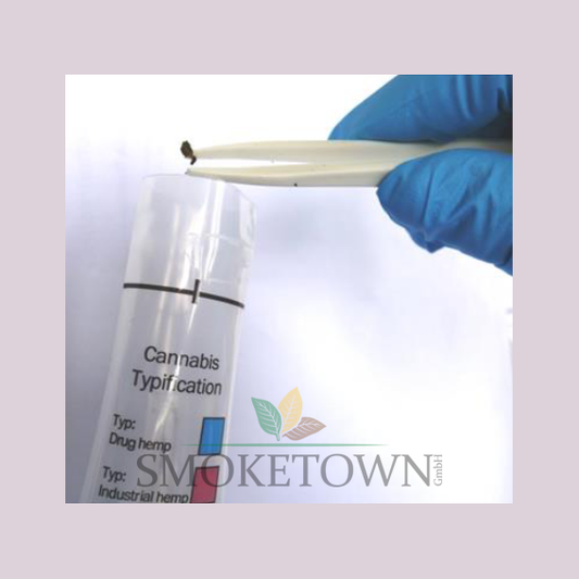 Cannabis-Typisierung Test